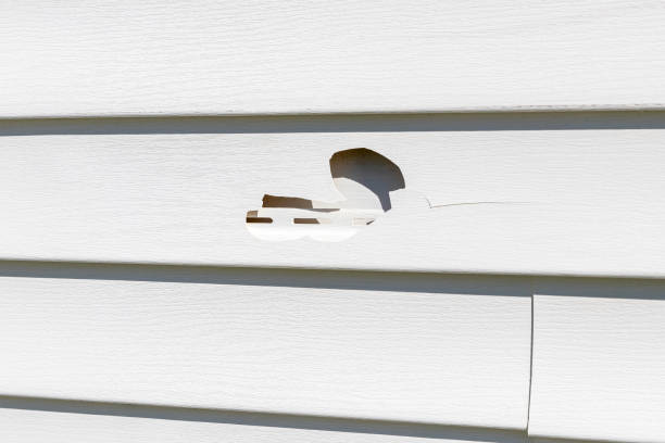 Best Stone Veneer Siding  in Brogden, NC