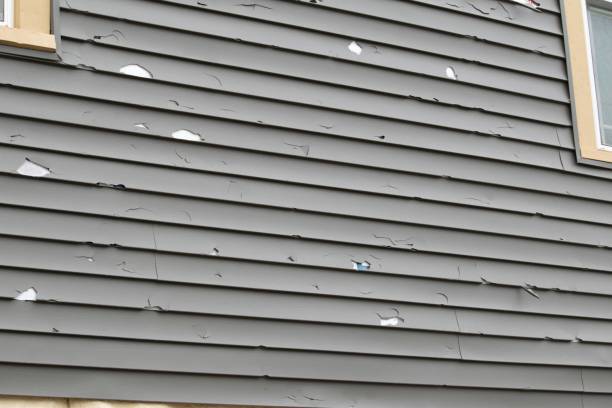 Best Storm Damage Siding Repair  in Brogden, NC