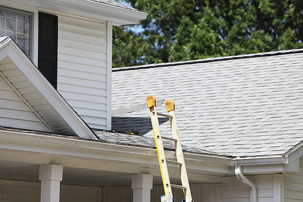 Best Siding for Commercial Buildings  in Brogden, NC
