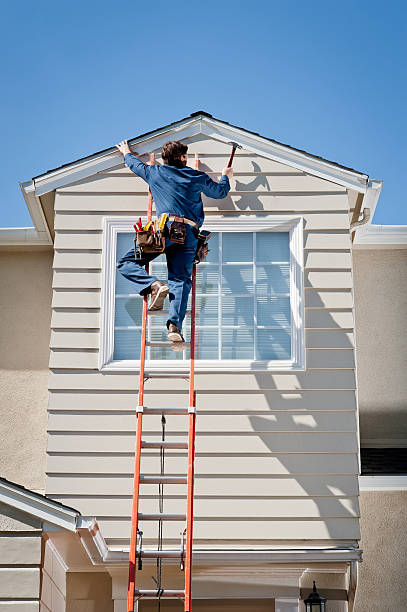 Best Custom Siding Design  in Brogden, NC
